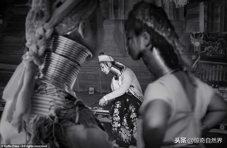 震惊全网（世界杯小组赛）缅甸比试莱索托比分深度分析-一手资讯