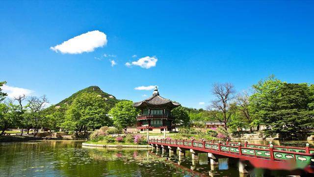今日速览（世界杯）韩国、乌克兰比分淘汰形势-首发资讯